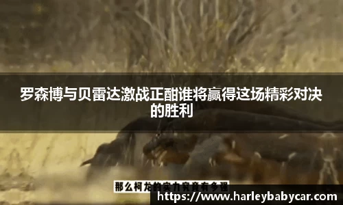 江南体育
